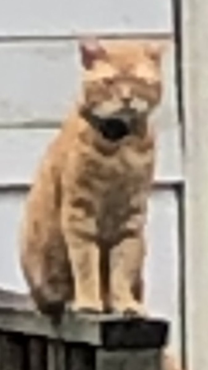 ... .... ‘’’’ ……… ,,,,,,, .. —— ..sit