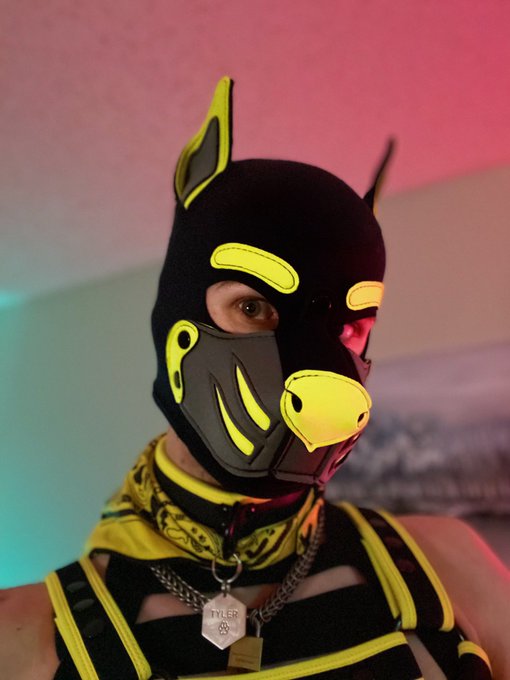 I don&rsquo;t normally like the selfies I take but these ones are CUTE https://t.co/CJWOPw7aWN<a href="/tag/humanpup"class="tags"><span>#humanpup</span></a>