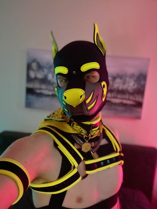 I don&rsquo;t normally like the selfies I take but these ones are CUTE https://t.co/CJWOPw7aWN<a href="/tag/humanpup"class="tags"><span>#humanpup</span></a>