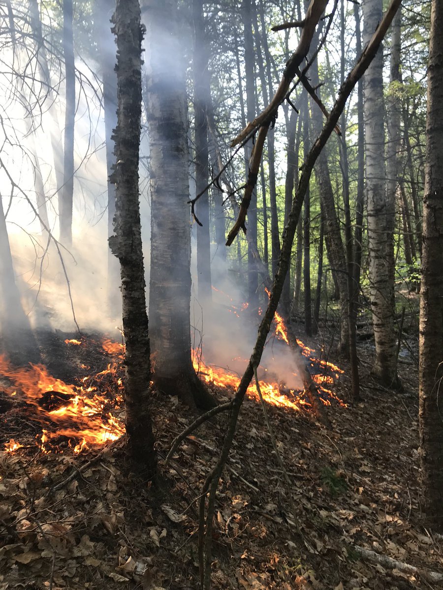 NHForestRangers's tweet image. Forest Ranger 12 was first on scene of this 1/4 acre wildfire in Thornton this evening.  He assisted Campton-Thornton FD in bringing it quickly under control. @nhdfl @NHDNCR