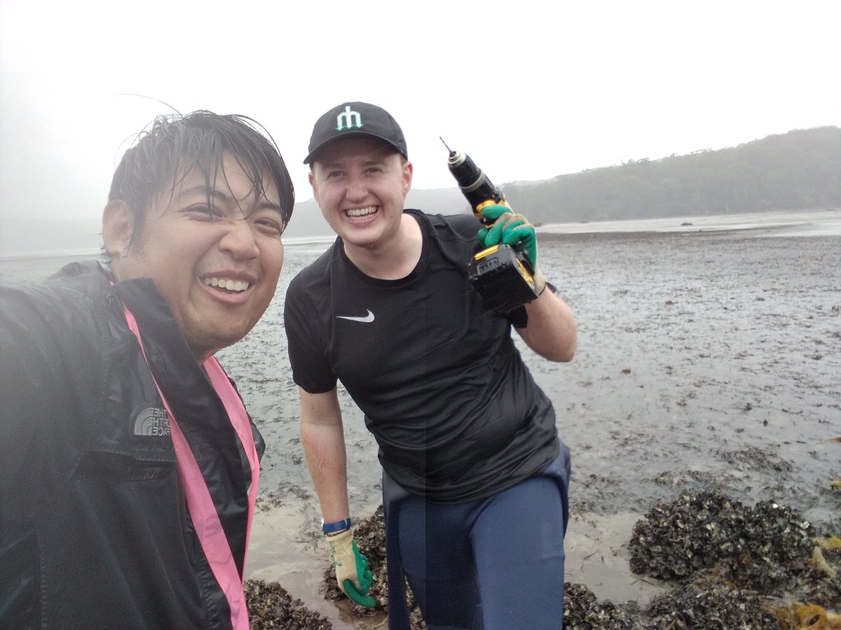 rickcleong's tweet image. @AMSAconf This is the best week to share my @SydneySOLES and @unswcmsi  #fieldworkmates and my &quot;lab&quot; i.e. the oyster reefs for #amsa21contest. Rain, shine, wind, sunrise, or combinations of it all, we all smile (even if we suffer through the elements!) Thank you my #researchfam🤗