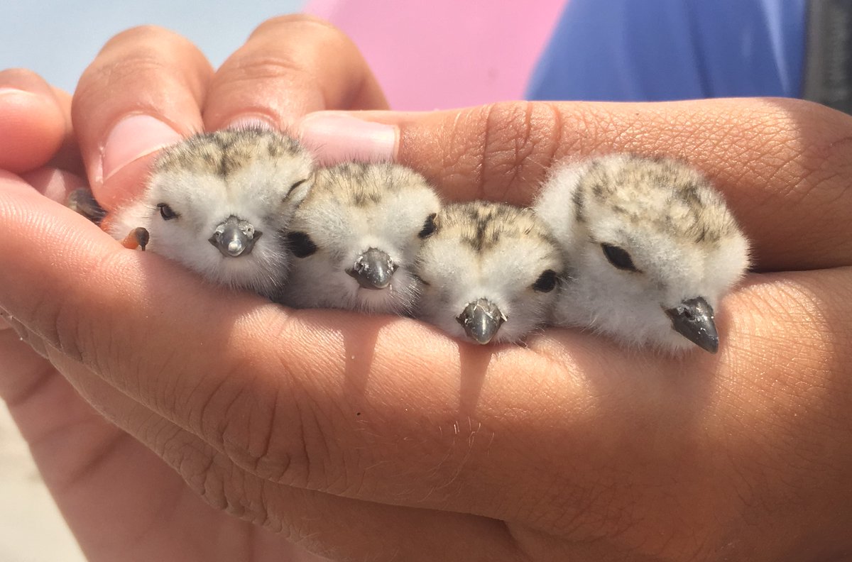 Katie Walker tweet media