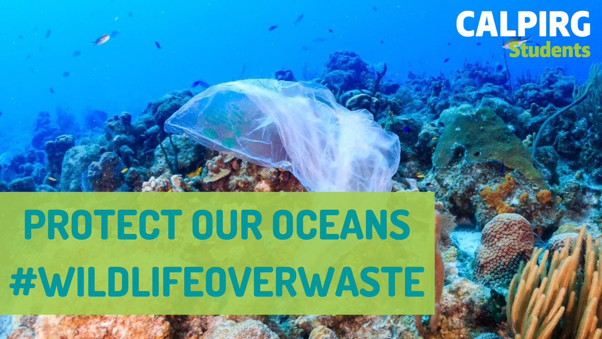 RachelTam2's tweet photo. @Wholefoods, change and protect our oceans!🐙🐠🐳🌊
@CALPIRGStudent #PlanetOverPlastic #WildlifeOverWaste https://t.co/bXHfennKqD