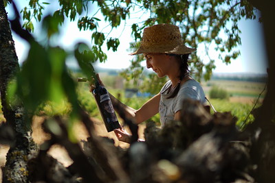 Matsu, la bodega en la D.O. Toro del Grupo Vintae, da la bienvenida a La Jefa 2018, su primer vino blanco, elaborado con malvasía prefiloxérica y criado en fudres de 600 litros bit.ly/LaJefa2018 #vinos #malvasía #Vintae #Matsu #DOToro <a href="/Vintae/">Vintae</a> Vintae Bodega Matsu