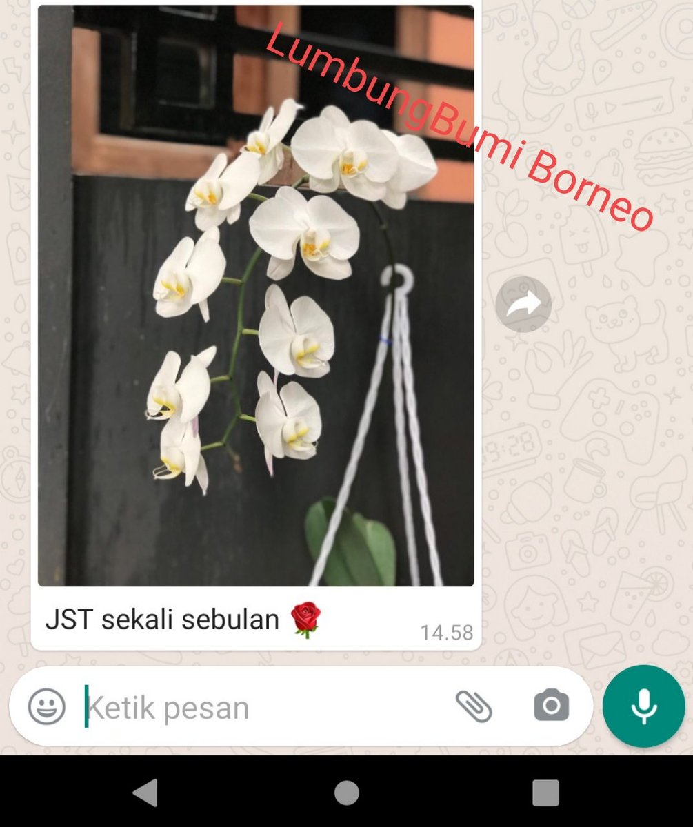 Syawaludin3687's tweet photo. Keindahan pagi terpancar dari kesejukan embun dan udara
Keindahan hati terpancar dr niat baik dan ikhlas
Keindahan jamu bumi terpancar dari hasil pertanian yg sehat dan senyum sejahtera petaninya
#JSTstrong #LumbungBumi https://t.co/UlgUX01s8Z