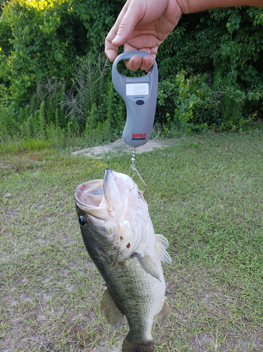 MysteryTackleBx's tweet photo. 🚨 PB ALERT!!! 🚨
When a 8lb bass decides it's ready to bite, you better make sure you're ready to fight back! 🤜 💥🤛
Props to Michael W. for landing this BEHEMOTH on a Saucy Swimmer!!!
#CommunityCatch https://t.co/bxOKC1nOMu