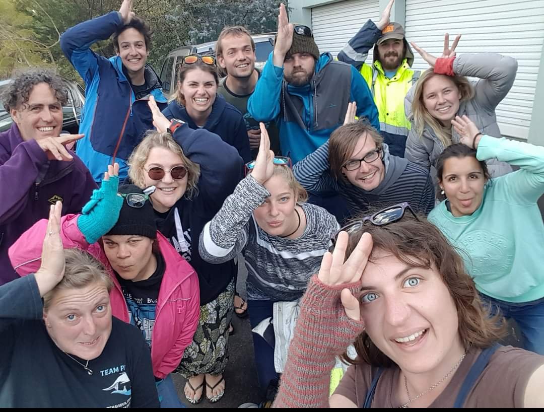 Here's a throw back to one of <a href="/FishLab_MQ/">The Fish Lab MQ</a> biggest field seasons for <a href="/AMSAconf/">AMSA-NSMSS 2024 Conference</a> #AMSA21Contest! Featuring <a href="/CulumBrown/">Culum Brown 🇺🇦</a> <a href="/SharkySherrie/">Sherrie Chambers</a> <a href="/Teganation/">Tegan Furchert</a> <a href="/emma_petrolo/">Emma Petrolo</a> <a href="/luongo_alyssa/">Alyssa Luongo</a> <a href="/joshreed_mq/">Josh Reed</a> <a href="/SeaSteffers/">Steph Bagala</a> @catarina_vp <a href="/jpkadar/">Julianna Kadar</a> <a href="/walking_sharks/">Connor Gervais</a> <a href="/Manta_Rob/">Dr. Rob Perryman</a> +co doing their best(?) sharkies