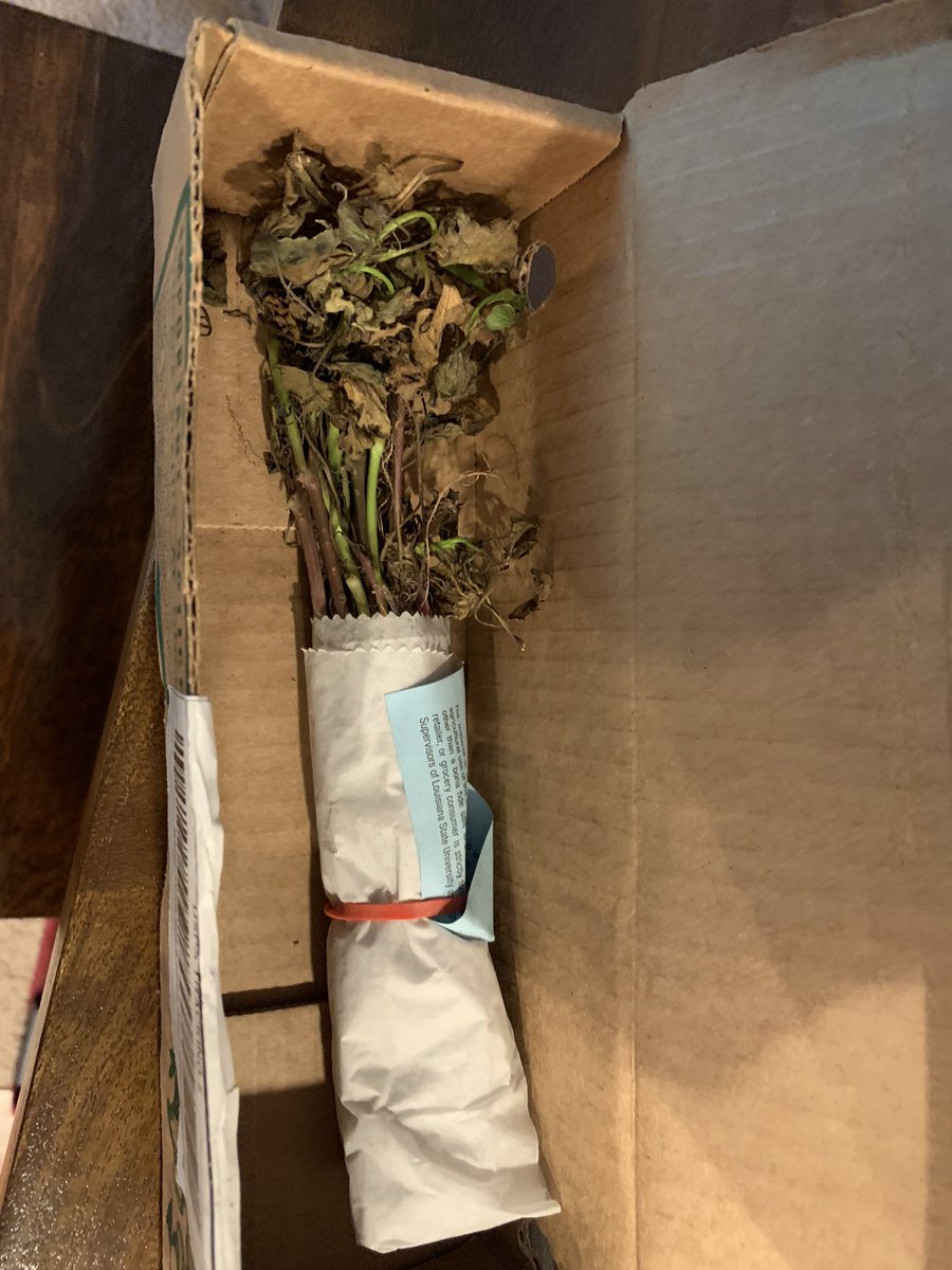 sadwers's tweet photo. @BurpeeGardening Customer service please? Shipping @USPS is a total #fail. Why are live plants entrusted to them? This is over a week late. Fix this, please. Label says 5/11. Really? https://t.co/WyWdUsa4Vq