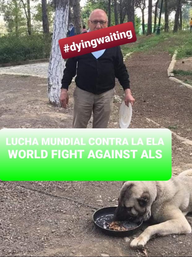 sandrac37082124's tweet photo. #ENDALS #treatmentsforALS https://t.co/FLKH1eM7ZY