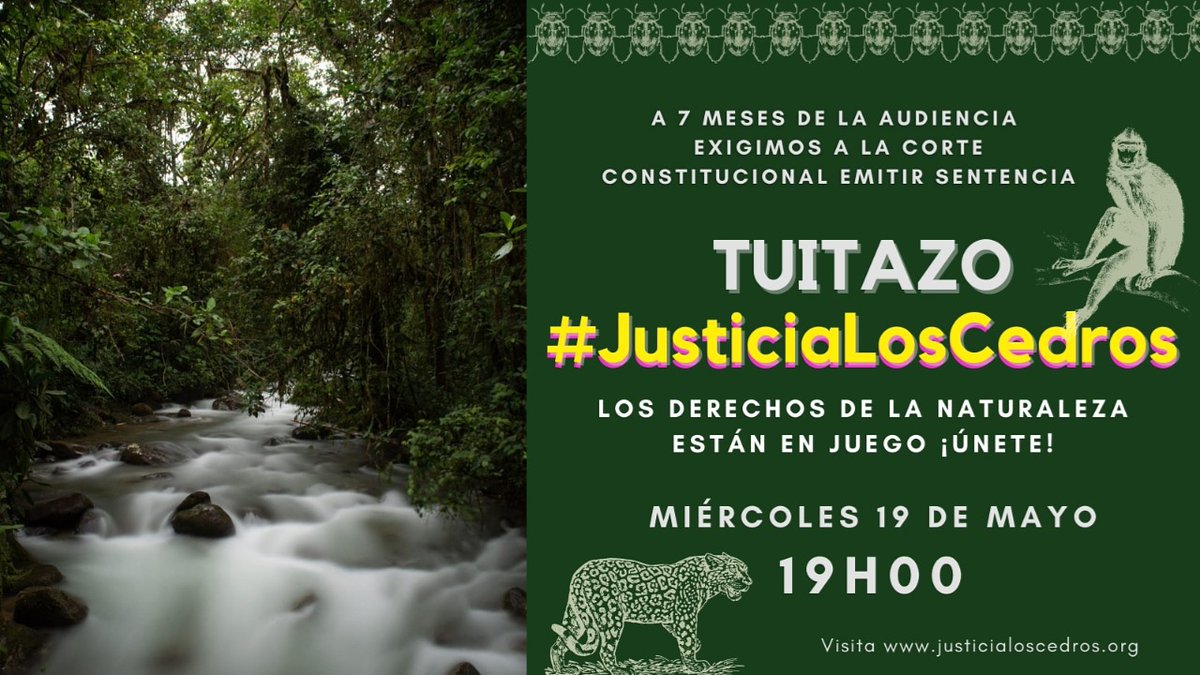 DDHH_Alianza's tweet photo. Exigimos que los Derechos de la Naturaleza contemplados en la Constitución, dejen de ser solo bonita literatura y sean una herramienta efectiva  y real de defensa de Derechos. @CorteConstEcu #CorteHazHistoria #JusticiaLosCedros
@ravila67 @dsalazaca @hernansalgadop https://t.co/V1fAlgDDXU