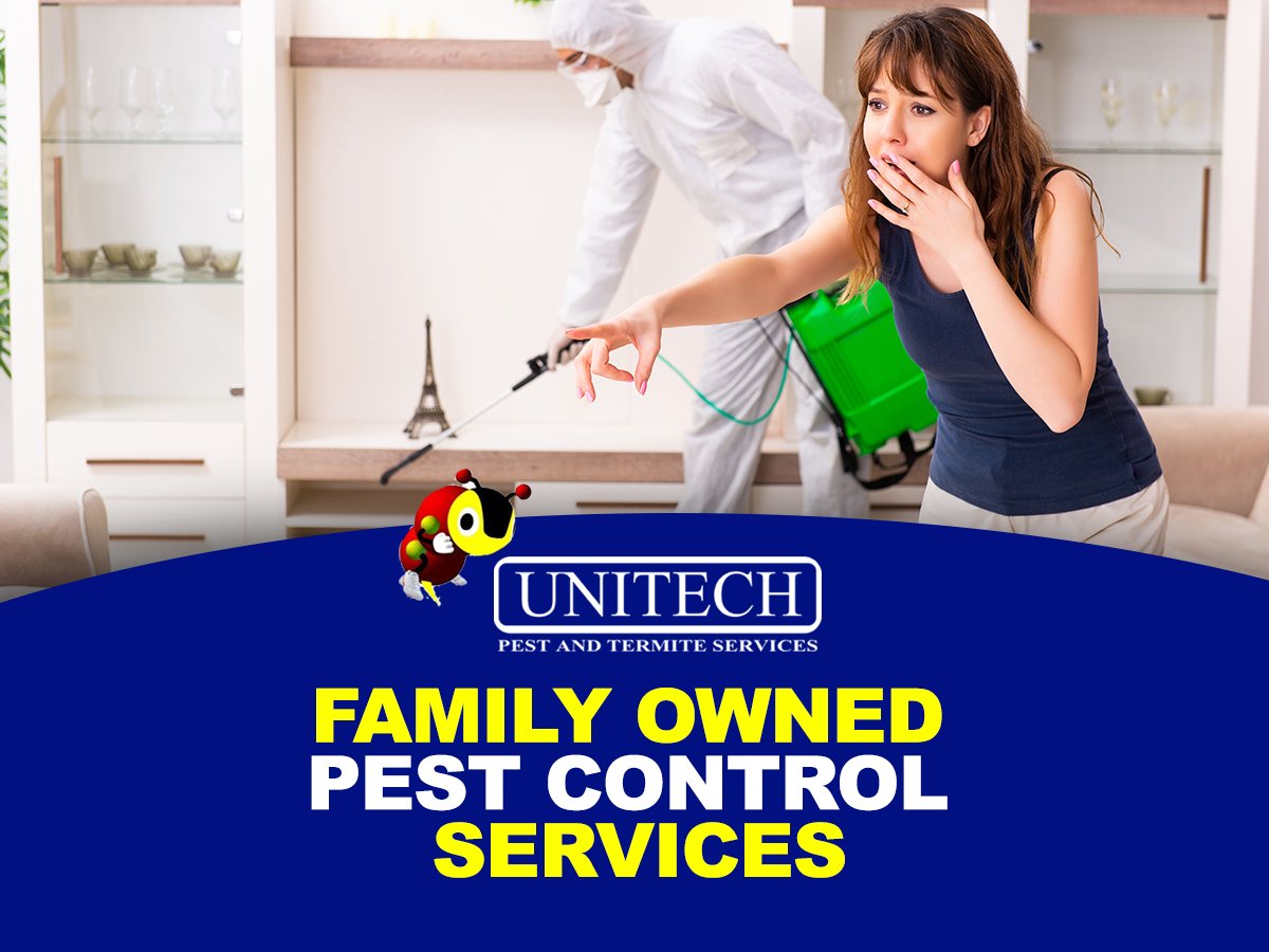 unitechpestcom's tweet photo. Getting the best pest control is about finding a company that can help you eradicate the pests that are causing you problems. There are various options available for treatment and it is good to know what is available so you can make an informed decision. #UnitechPestControl https://t.co/qqpjcRFxpE