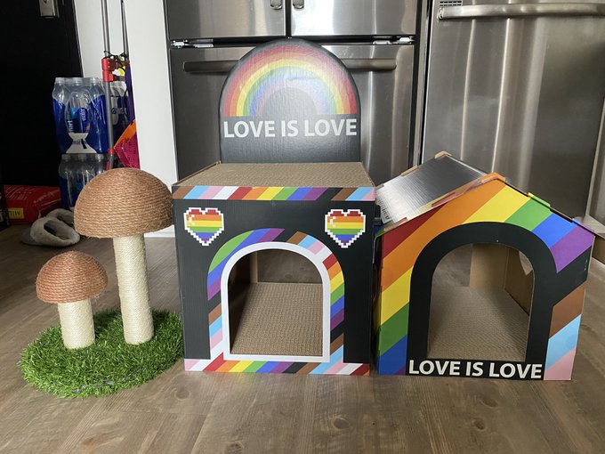 today was cat house construction day 🤠 https://t.co/z6TgE61s6N