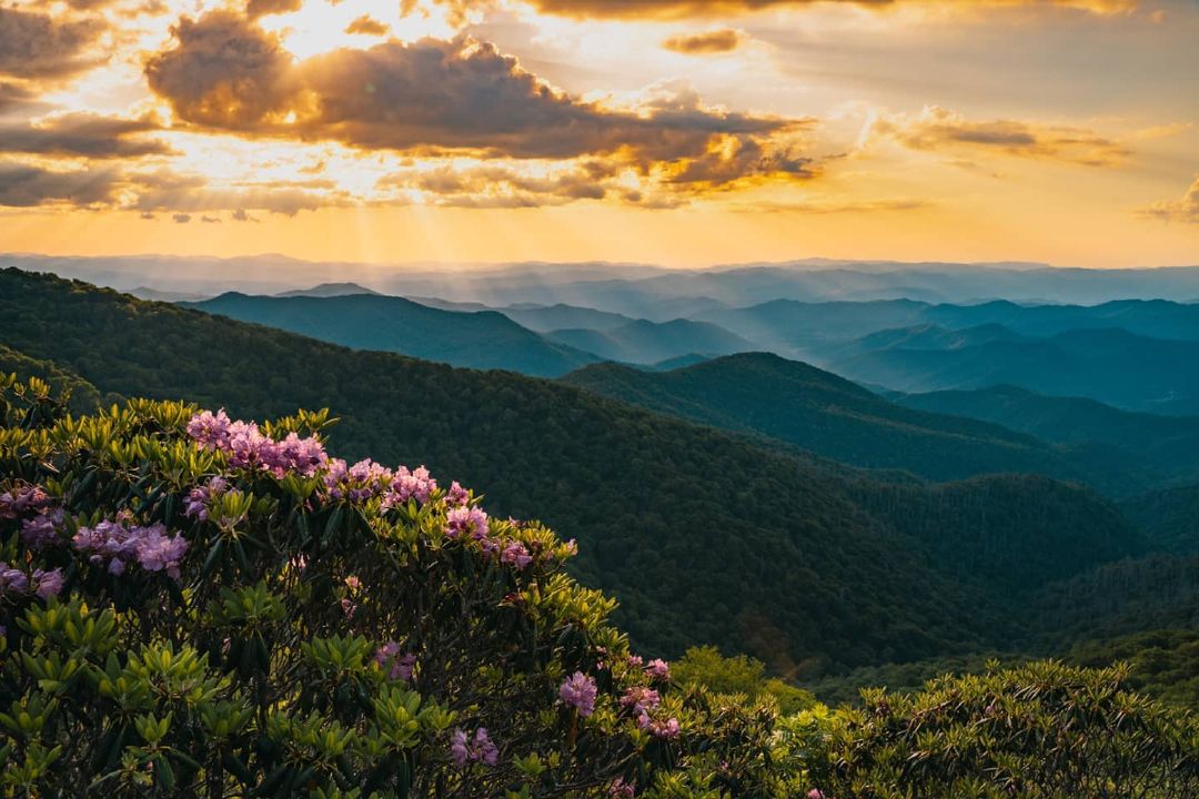 Parkway Rhododendron blooms are right around the corner. 🌸 😍 Who's ready for views like this? #BlueRidgeParkway #MyBlueRidge #DiscoverJacksonNC #VisitNC
.
📷 @ ben_robinson_