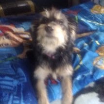 AwakingMiracles's tweet image. #NewProfilePic