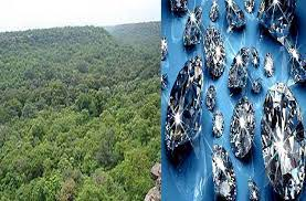 nahluwalia20's tweet photo. Indian citizens are dying in lakhs due to #COVID19 oxygen crisis. We will not allow govt to axe our forests: our green lungs+water recharge zone anywhere in India. 
@ChouhanShivraj No diamonds are worth 2.5 lakh old growth trees

https://t.co/JMbI8ZX8hk

#INDIASTANDWITHBUXWAHA https://t.co/ihM2I5wOk1