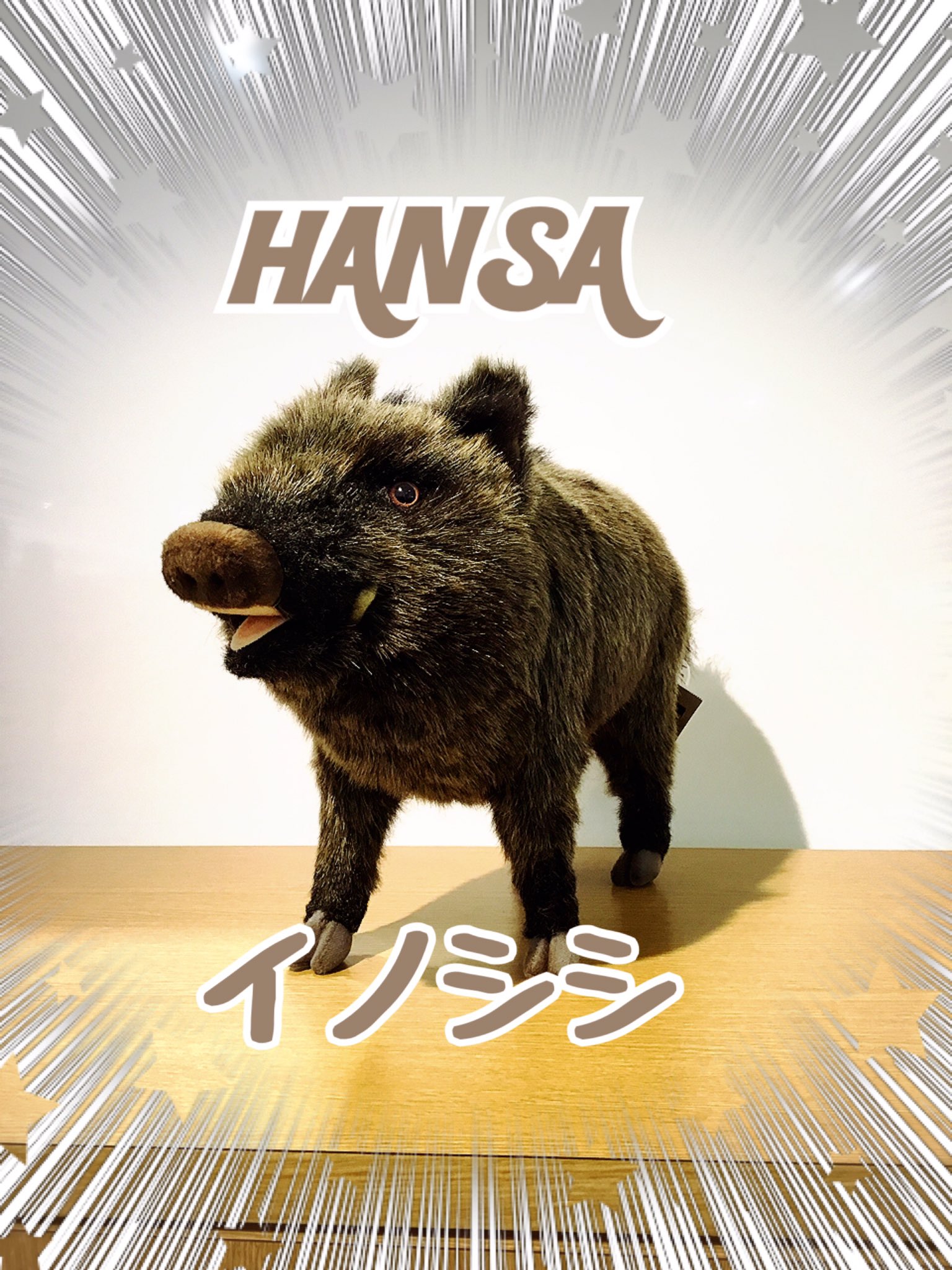 テディベアショップ ジェイアール名古屋タカシマヤ店 ジェイアール名古屋タカシマヤ テディベアショップ プレゼント Hansa 猪 イノシシ いのしし イノシシのぬいぐるみ 動物 動物のぬいぐるみ 動物大好き サスティナブルライフ サスティナブル 干支 猪年