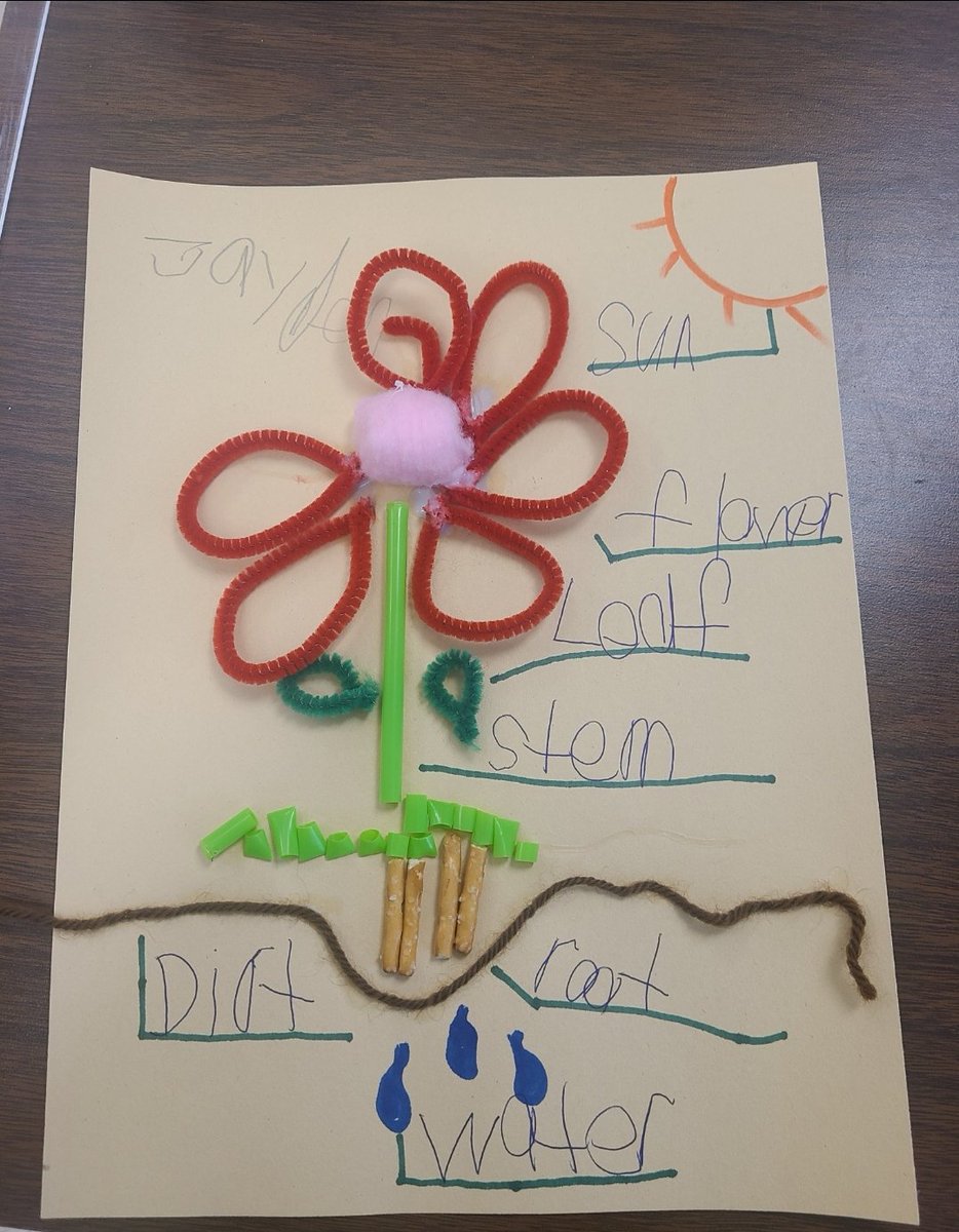 teresadeleon527's tweet photo. Learning about plants and how they make their own food! We created a 3D flower from found materials. #STEM #secondgrade #CarnahanCamp #BackTogetherBetter @NISDCarnahan @NISDElemScience https://t.co/lXe2UKfrXE
