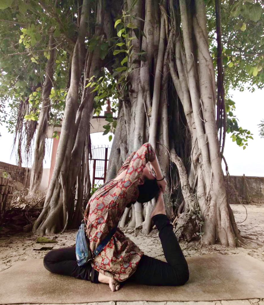 東風 遥香インドの漫画 今日の木 この木何の木 存在感に圧倒されるこの木 下から上へグングンと幹が伸びて 上から根っこが下がっていき 根を張る木 村の人に聞いたら菩提樹の仲間だと言われた ベンガル菩提樹 ゴムの木 ガジュマル 詳しい