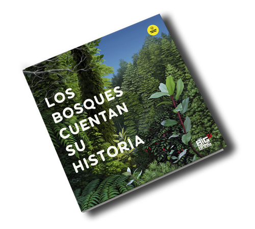Lanzamiento del libro interactivo: 'Los bosques cuentan su historia' Via streaming Jueves 20 de Mayo, 18:30 hrs fundacionmasciencia.cl/los-bosques-cu… cc @MasCienciaChile