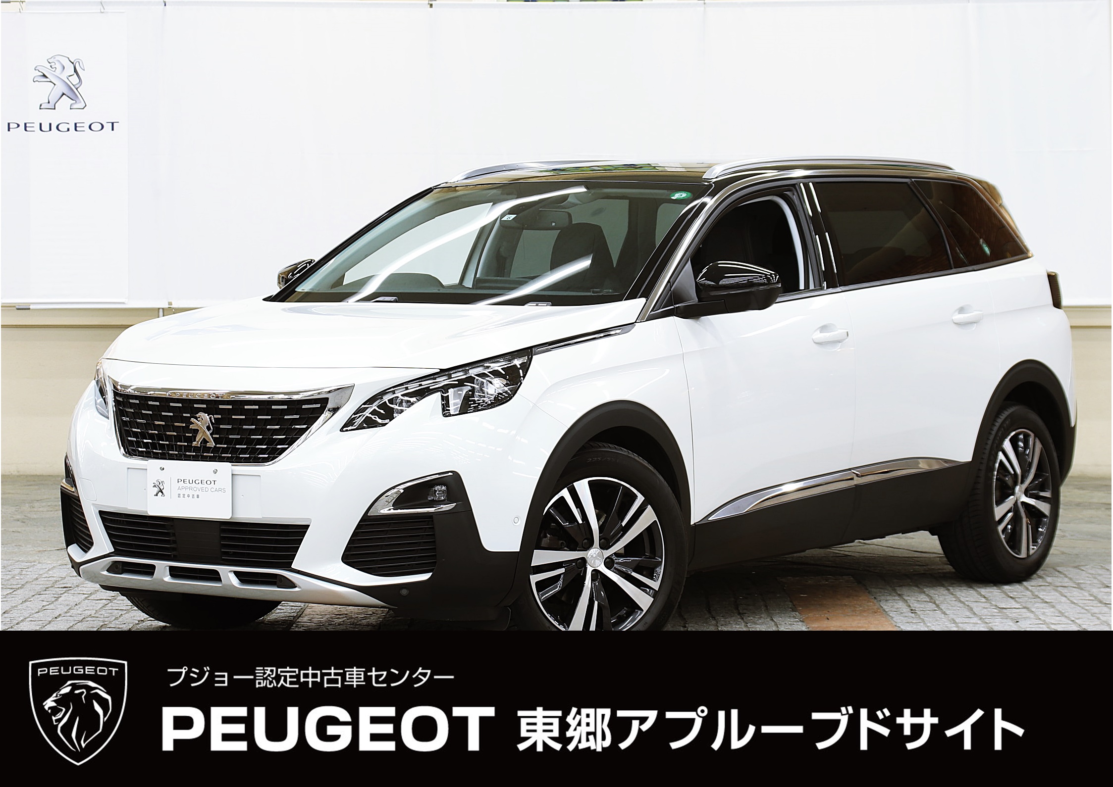 オートプラネット名古屋 車販売 修理 車検 点検 プジョーも沢山入りました 人気の3008と5008です オートプラネット オートプラネット名古屋 プジョー プジョー3008 プジョー5008 ｓｕｖ ホワイトハウス 中古車 認定中古車