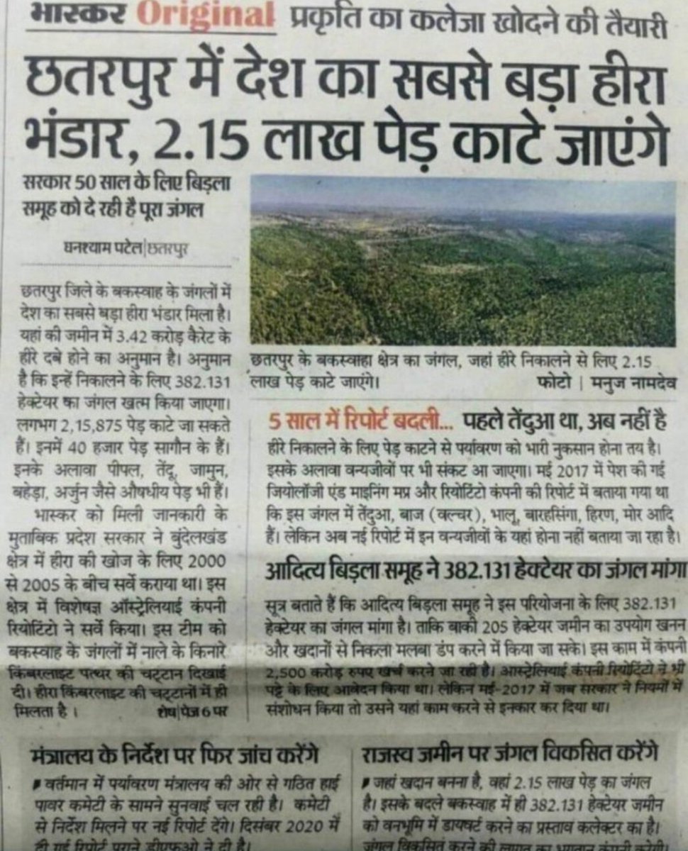 Bhil_Jayesh tweet media