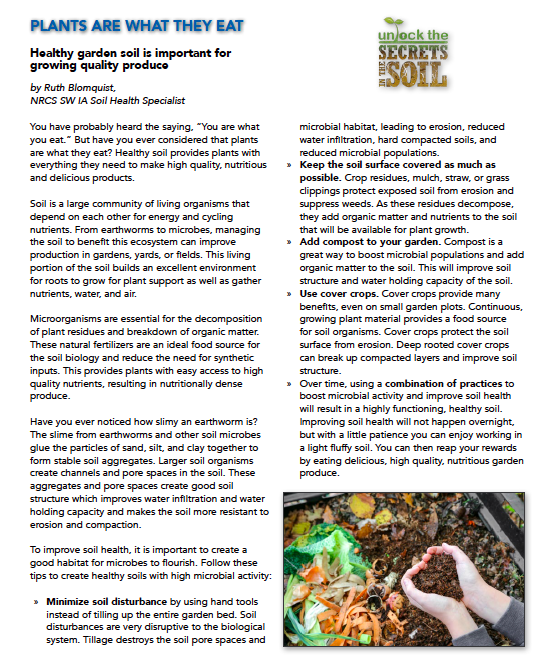 Plants require nutrients in order to grow.  This nutrients comes from microorganisms living in the soil.  Their job is to break down old plant matter into nutrients and help aerate the soil for the plants.  Check out this article written by Ruth Blomquist for more information!