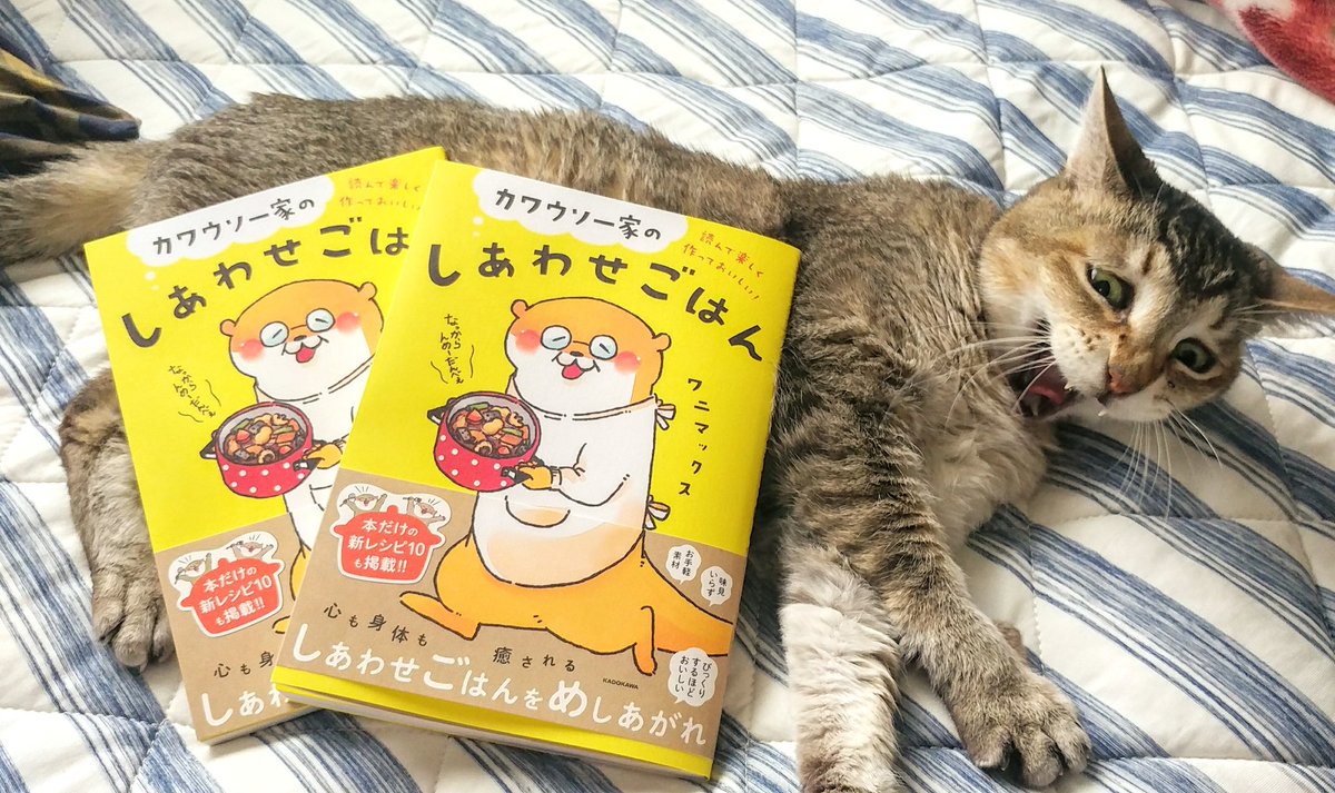 見本誌届きました゜+。:.゜(*゜Д゜*)゜.:。+゜
黄色がめちゃくちゃ美味しそうなのです💕
嬉しくて撮影大会していたら、猫様に呆れられたの図(笑) https://t.co/TBYj4YpUVz 