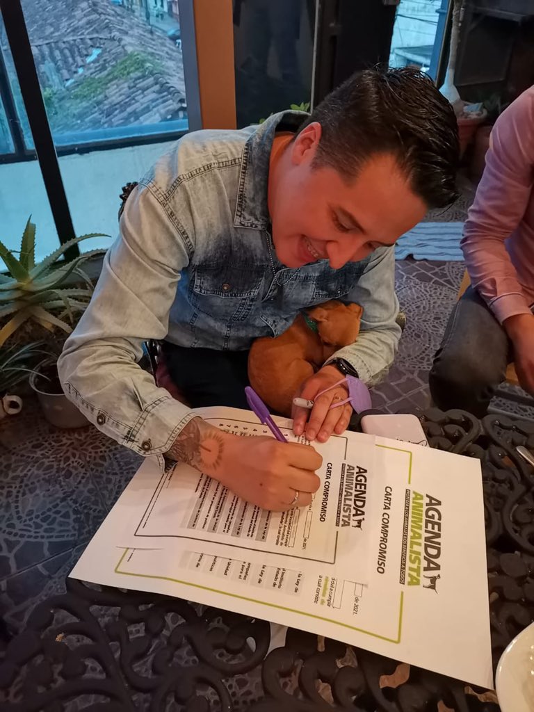 oscargzz_mx's tweet photo. Soy aspirante a Diputado Local por el distrito 03 Zacatlán y ya firmé Mi Compromiso por una #AgendaAnimalista 

Tú también puedes hacerlo en https://t.co/kInrPg5euz 

#HazTuCompromiso #VotoAnimalista #SeChingónSinChingarteALosDemás

https://t.co/HLCQ00LiaT https://t.co/Nwbf5tPzpG