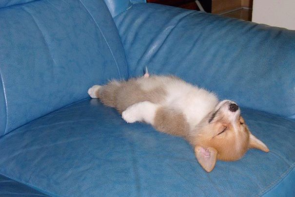 sxseils's tweet photo. desde que leí acá que dormir de costado te hace mal y te deforma la cara todas las noches me acuesto así https://t.co/JMNjntLCeq