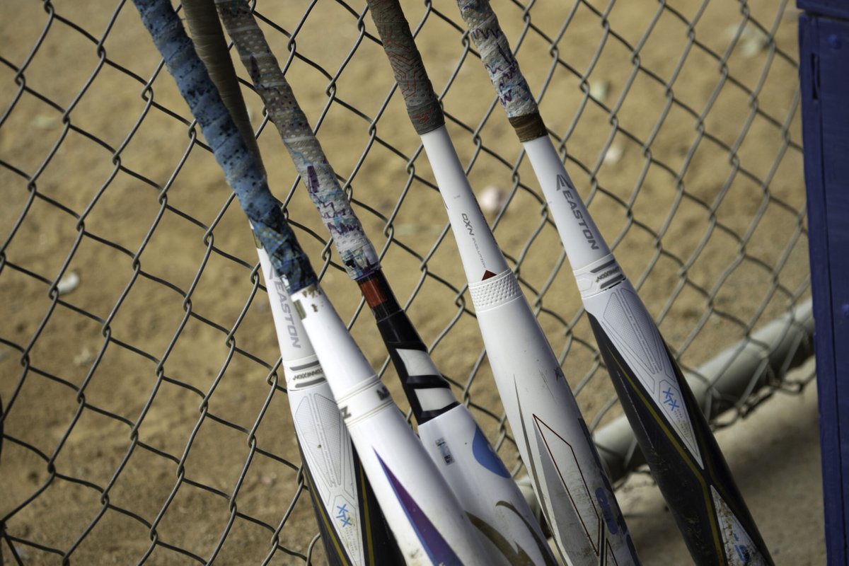 MelbSoftball's tweet photo. revolutioniseSPORT info sessions continue tonight https://t.co/msnwJ7VeK5 https://t.co/No823bjGI0