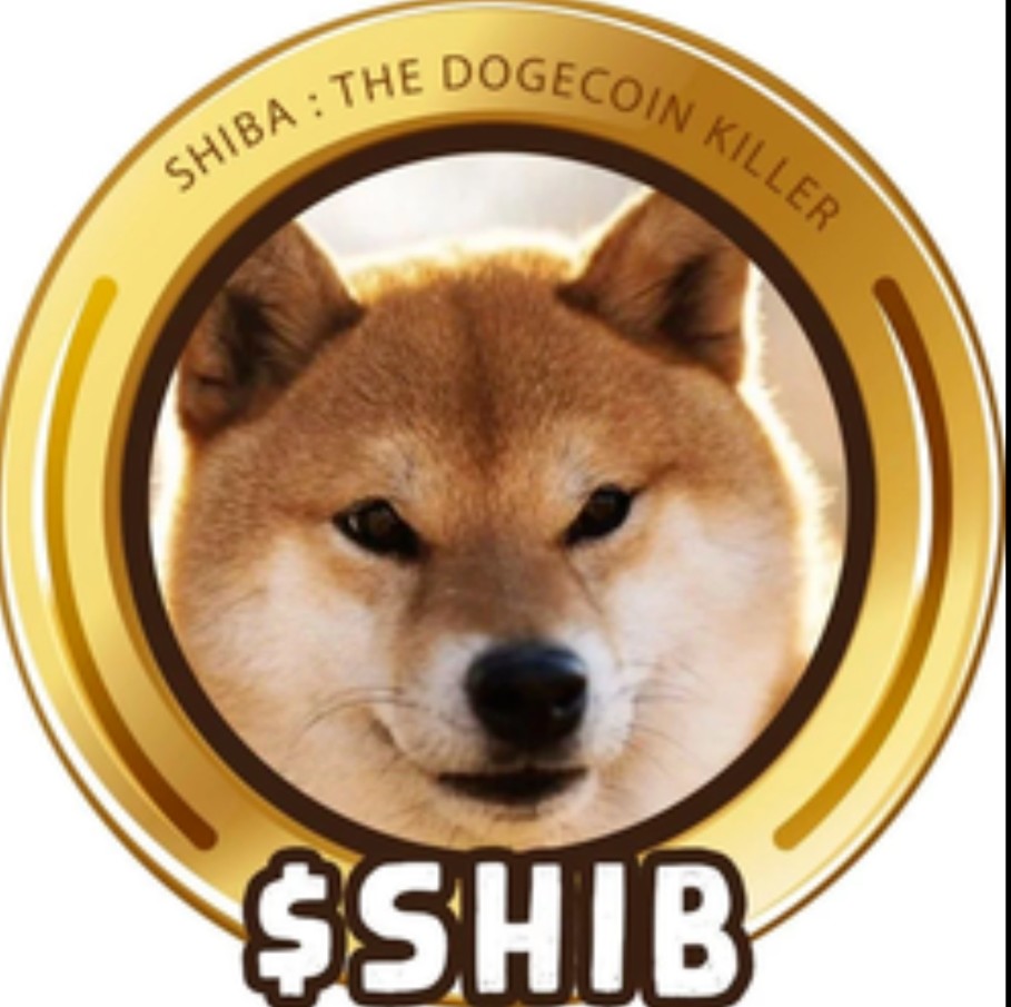 ShibaInuCoin5 tweet picture