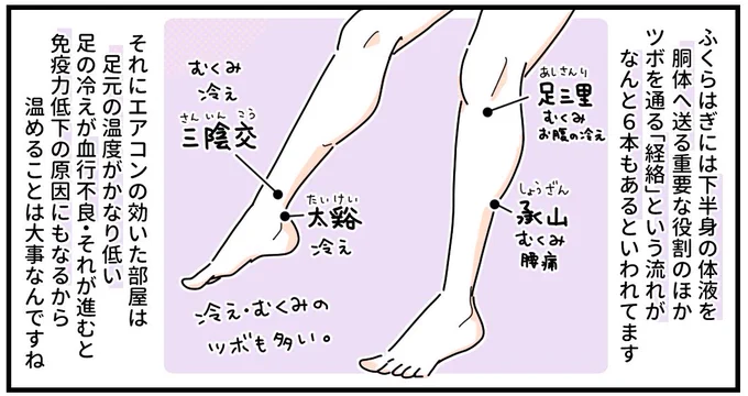 湿度があがるとつい薄着になりたくなっちゃうけど、脚・とくにヒザから下はしっかり温めようね〜。この時期の不調は血行促進を意識するとだいぶやわらぐ!特に靴下は足首まで包むタイプのやーつを履く方がイイ。 