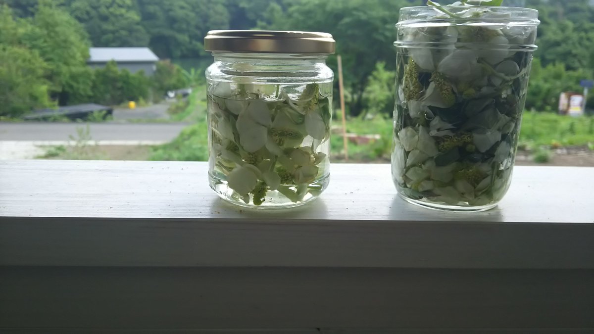服部雄一郎 サステイナブルに暮らしたい ドクダミの花を摘んで 虫よけチンキづくり つくり手は小2の末っ子 摘んだ花をガラス瓶に入れ ホワイトリカーやウォッカを上まで注ぐだけ 1カ月くらい放置したら完成です レシピはgreenzやなぎさわまどか 服部雄一郎 サステイナブルに暮らしたい ドクダミの花を摘んで 虫よけチンキづくり つくり手は小2の末っ子 摘んだ花をガラス瓶に入れ ホワイトリカーやウォッカを上まで注ぐだけ 1カ月くらい放置したら完成です レシピはgreenzやなぎさわまどか