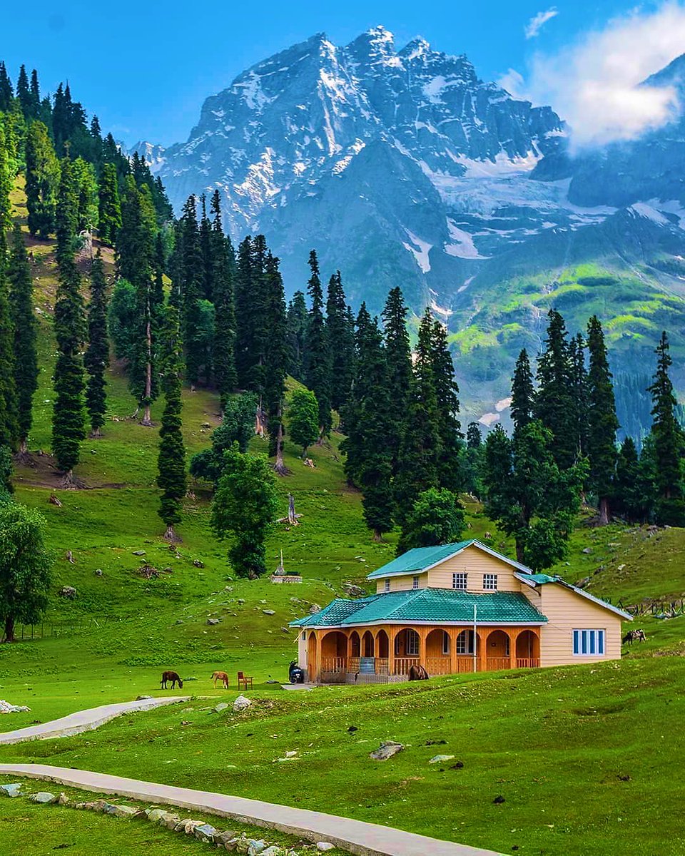 SidHimachal's tweet photo. Perfect location to get locked in lockdown. https://t.co/Iz49FhRpyN