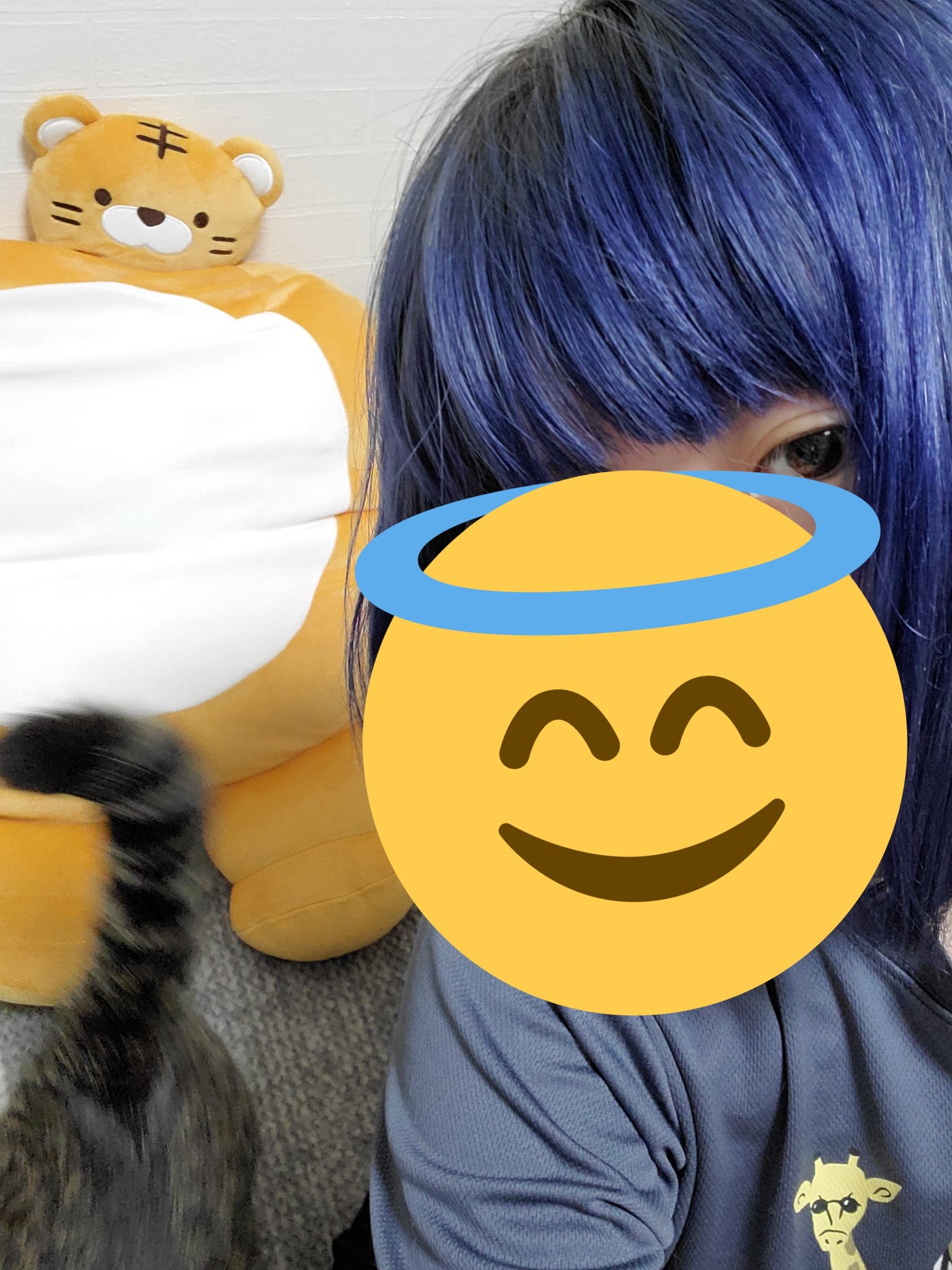 みわさんと他153 678人 絶対写真に写りたくない猫 Vs 絶対に写真を撮りたい私 T Co E9wobrjdzi Twitter