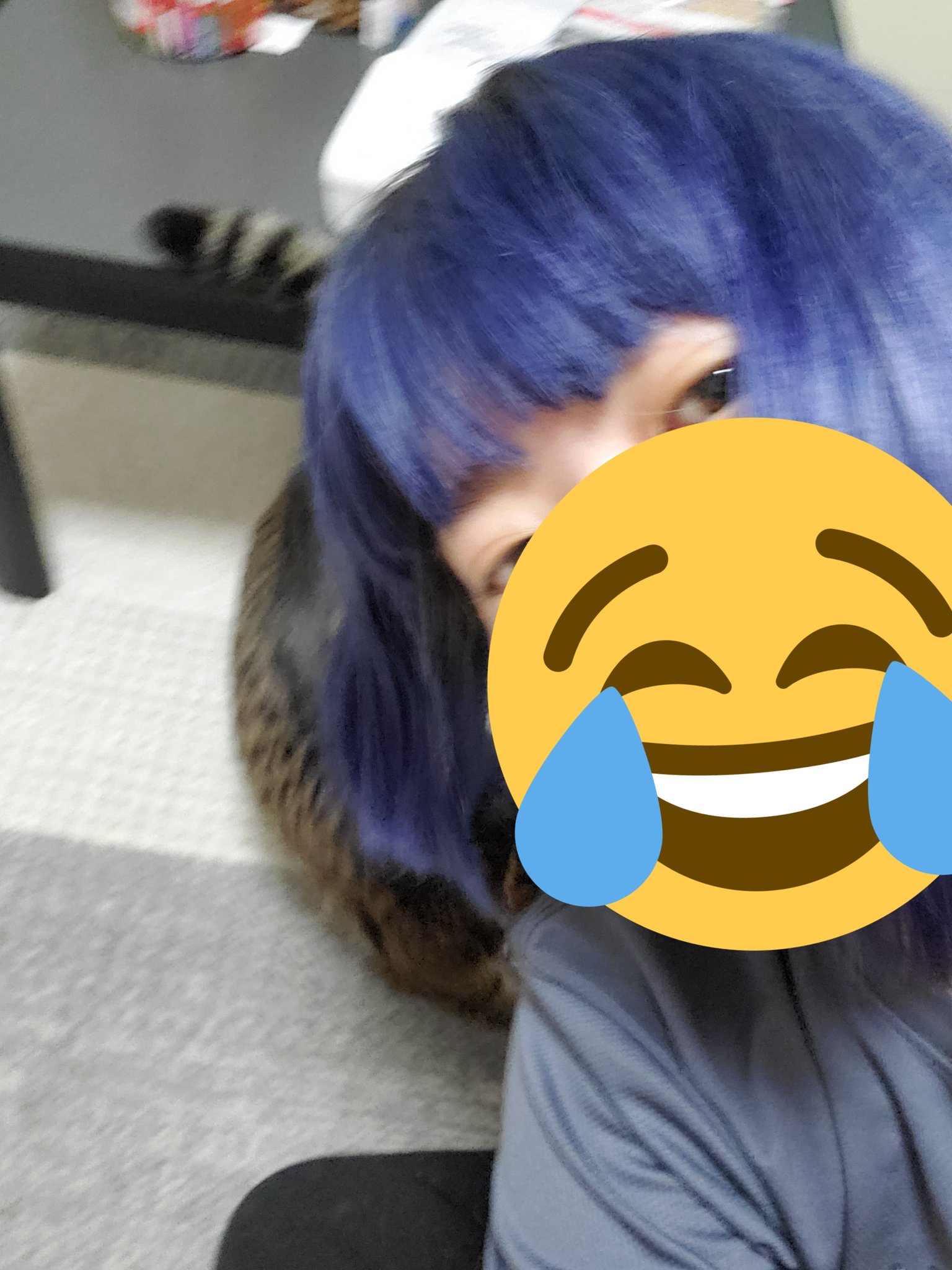 みわさんと他153 678人 絶対写真に写りたくない猫 Vs 絶対に写真を撮りたい私 T Co E9wobrjdzi Twitter