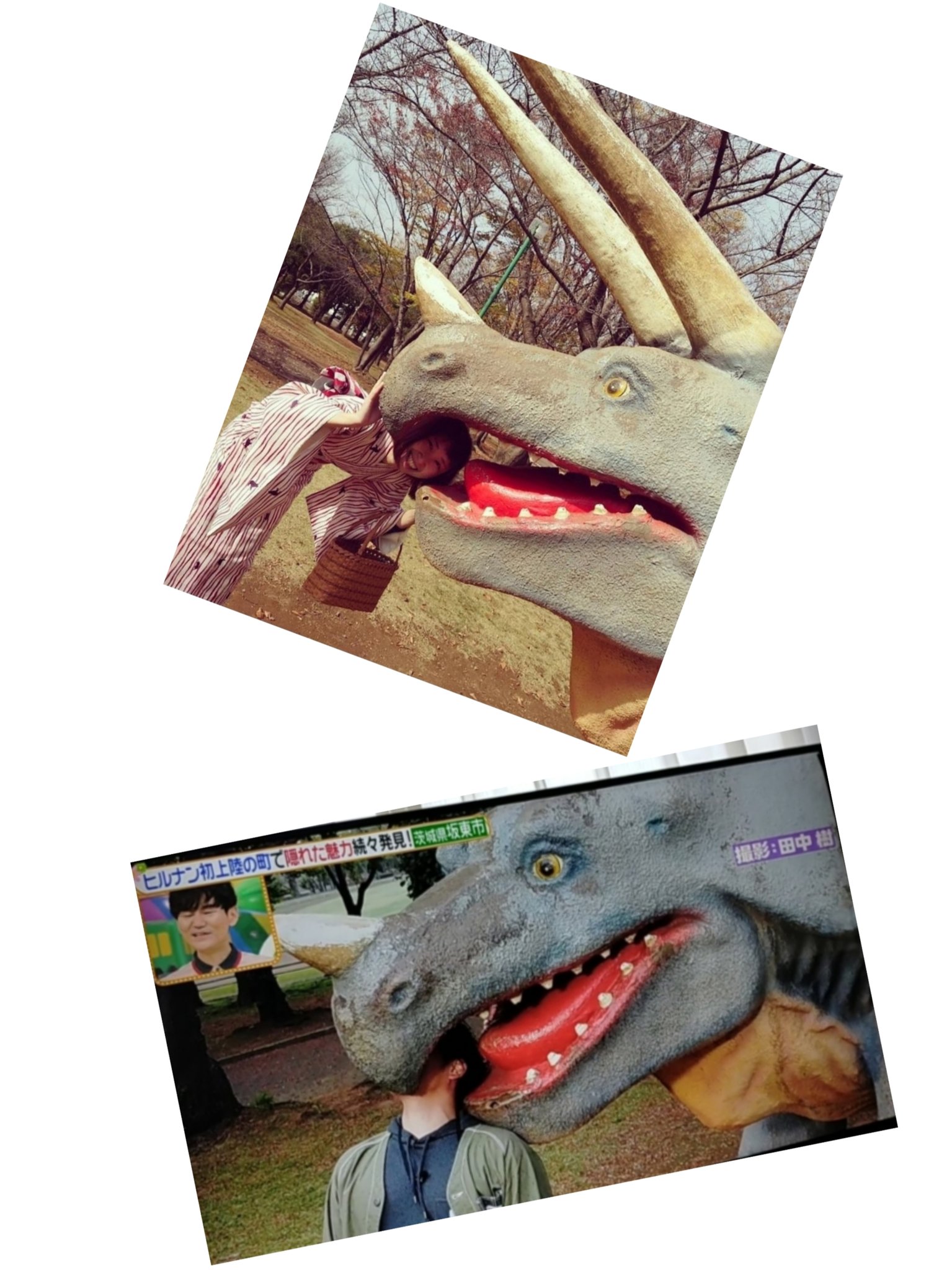 八坂公園 Twitter Search Twitter