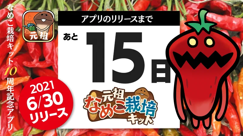 元祖 なめこ栽培キット」公式 on X: 