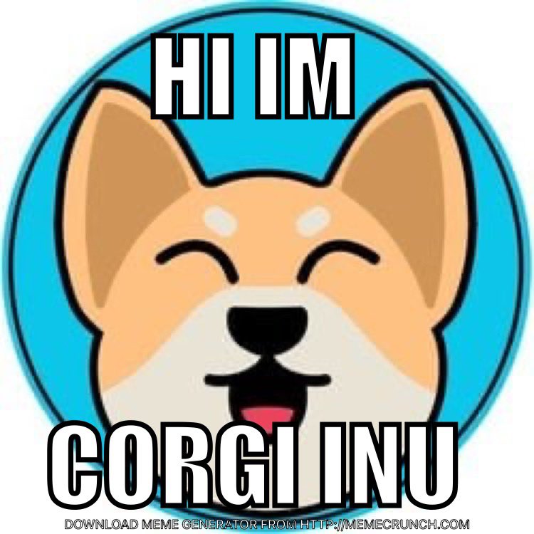 Keith_R_Allen's tweet image. Go Corgi Go #Corgiinu