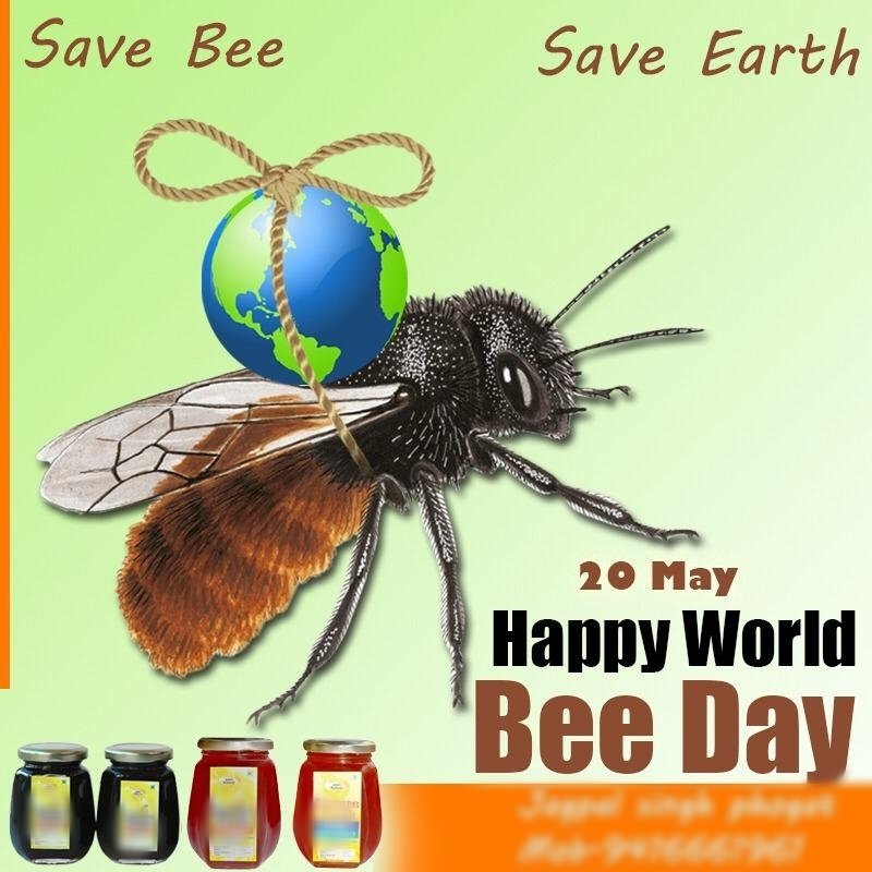Dr Chaturvedi N Happy World Bee Day The Great Scientist Albert Einstein Said That If The Bees Are Eliminated From The Earth Then The Human Species Can Live For A Dr Chaturvedi N Happy World Bee Day The Great Scientist Albert Einstein Said That If The Bees Are Eliminated From The Earth Then The Human Species Can Live For A