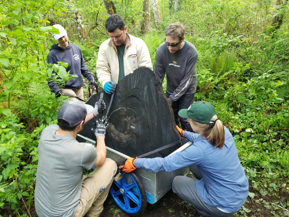 After months of logistical planning and🤞we did it: hike in and build a raft for a 300+lb hydraulic power unit, snorkel/scuba for underwater samples,&amp; have divers use a massive 3’ bar hydraulic saw at depth with ❌visibility to obtain the ultimate 🙌sample for paleoseismic🌲💍