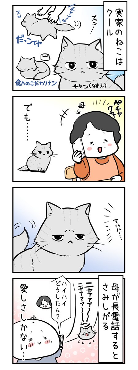 実家のねこかわいい。 