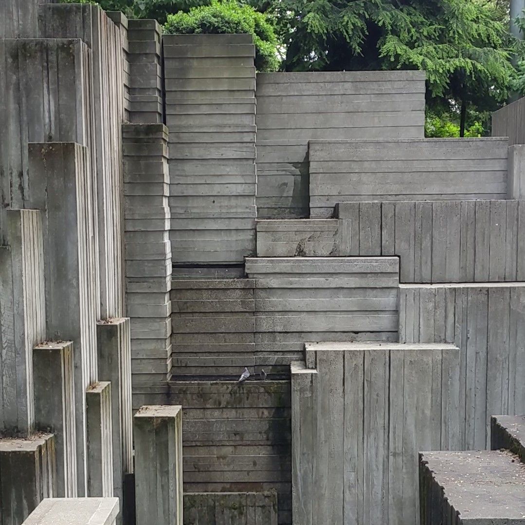 These little pigeons are enjoying the Canyon Fountain being on! Parks Department crews have turned it on periodically for testing over the last week. They've been working hard to get all of the fountains in Freeway Park up and running for the summer. Thank you @seattleparksandrec