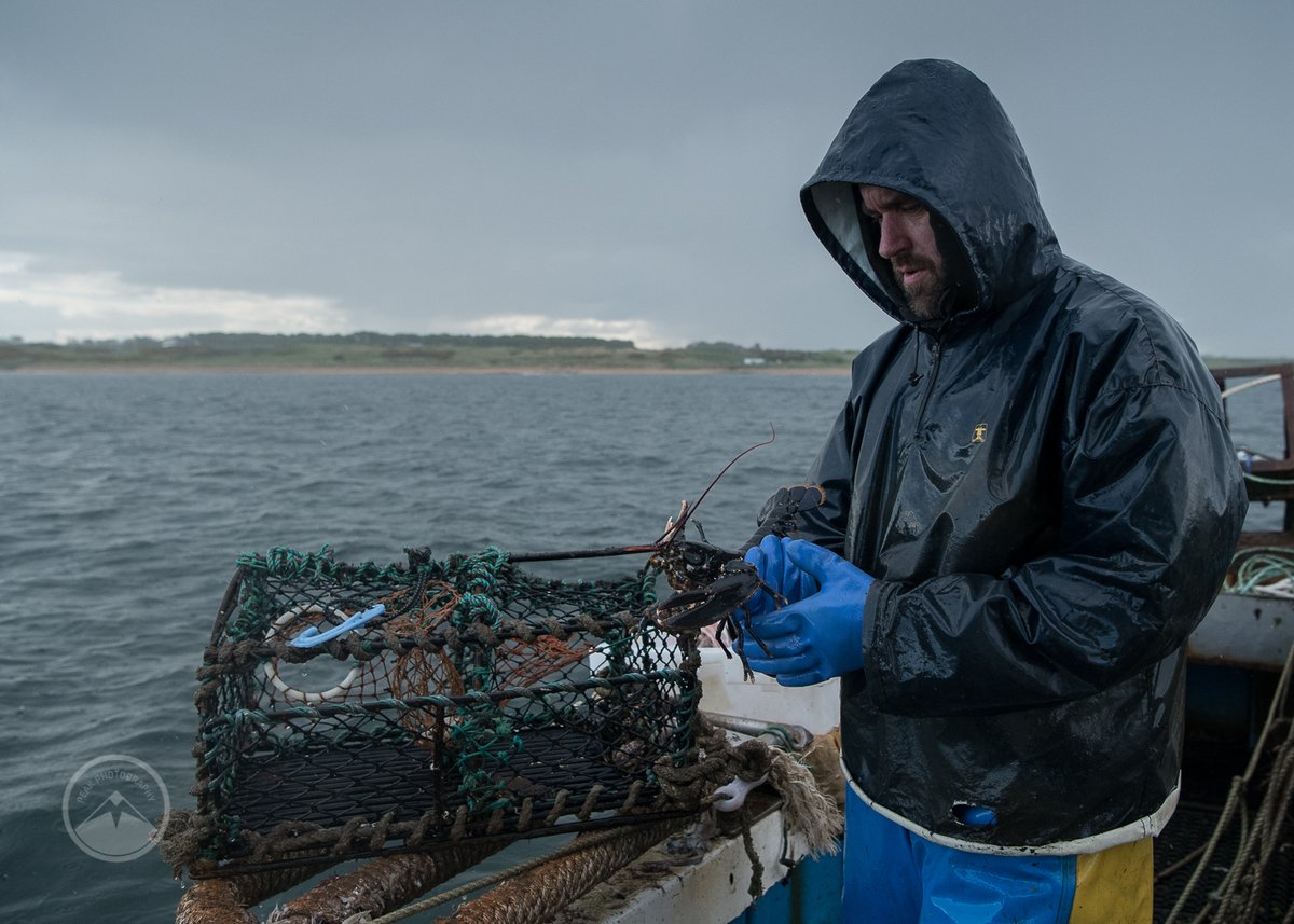 Great to spend time in the East Neuk - & I was privileged to have chance to do some documentary photography. A pretty calm sea with a bit of rain has increased my respect for all those who work in/on it - I was tired just taking the photos #EastNeuk #Lobsterfishing #Arianna #Fife