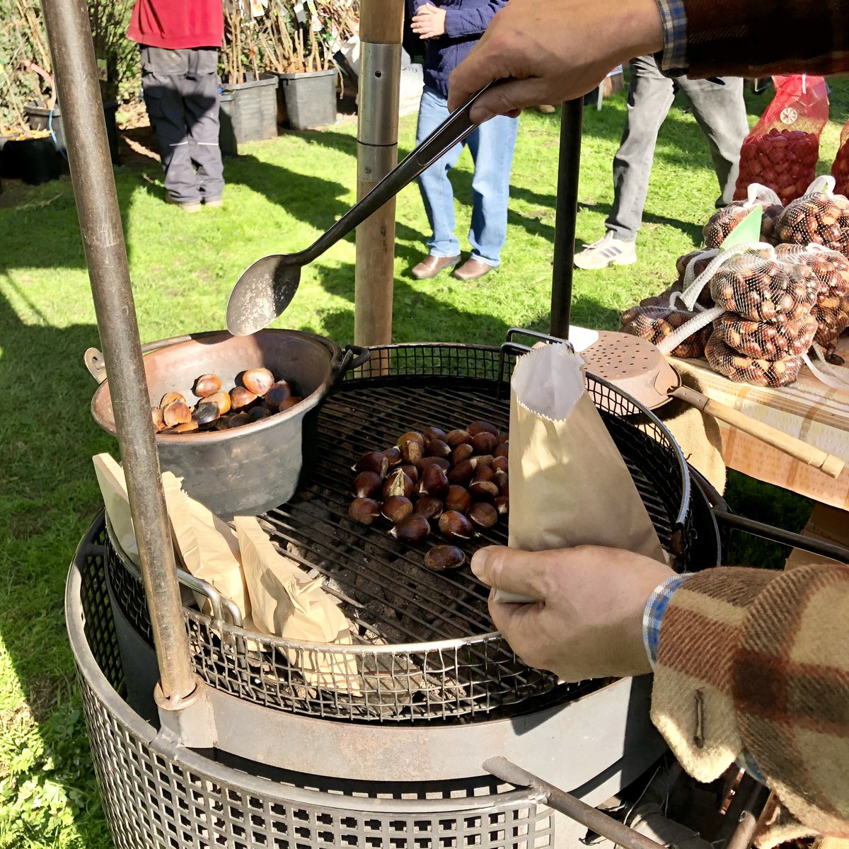 SlowFoodMelb's tweet photo. There will be chestnuts at #slowfoodmlbfm this Saturday! 8am-1pm, 59 The Avenue, Spotswood https://t.co/WJE5BIWDKs
