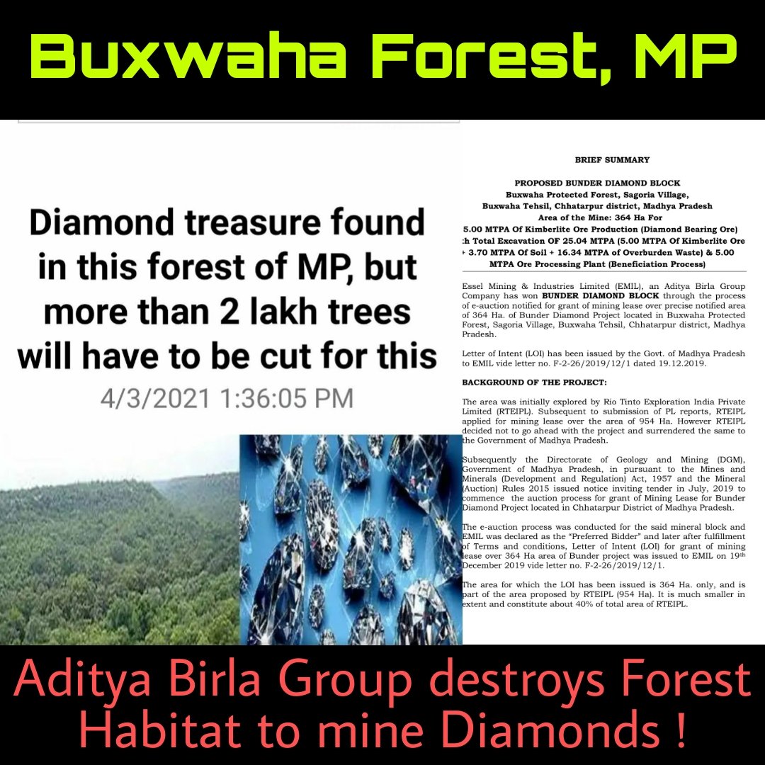 The GOVT.which is  in no capacity to meet #OxygenCylinder requirement of its citizen during this #HealthCrisis,has no right 2 clear down #BUXWAHAFOREST which releases millions of tons of #Oxygen per annum

#INDIASTANDWITHBUXWAHA
#IndiaNeedsOxygen
@CMMadhyaPradesh @PrakashJavdekar