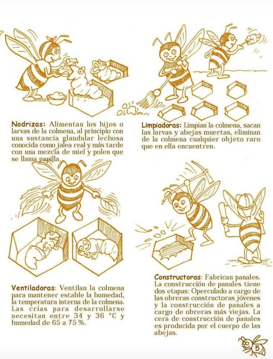Feliz día internacional de las abejas 💗💗💗💗💗💗