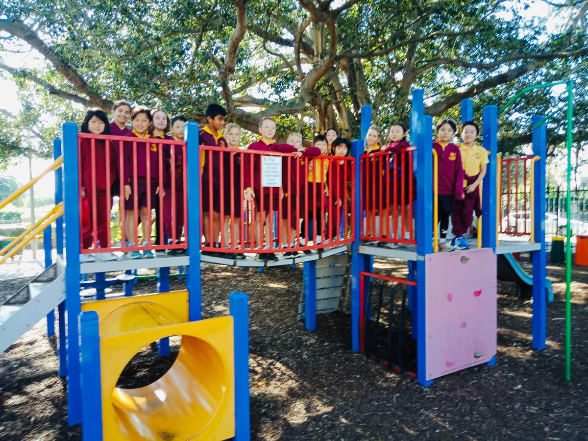 CroydonPublicSchool tweet media