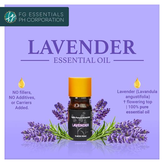 fg_essentials's tweet image. #Lavender is one of the well-loved and a crowd favorite among all of the essential oils. Traditionally, it is believed to have sedative, anti-depressant, anti-inflammatory, and anti-microbial properties. 

Website: FGessentials.PH