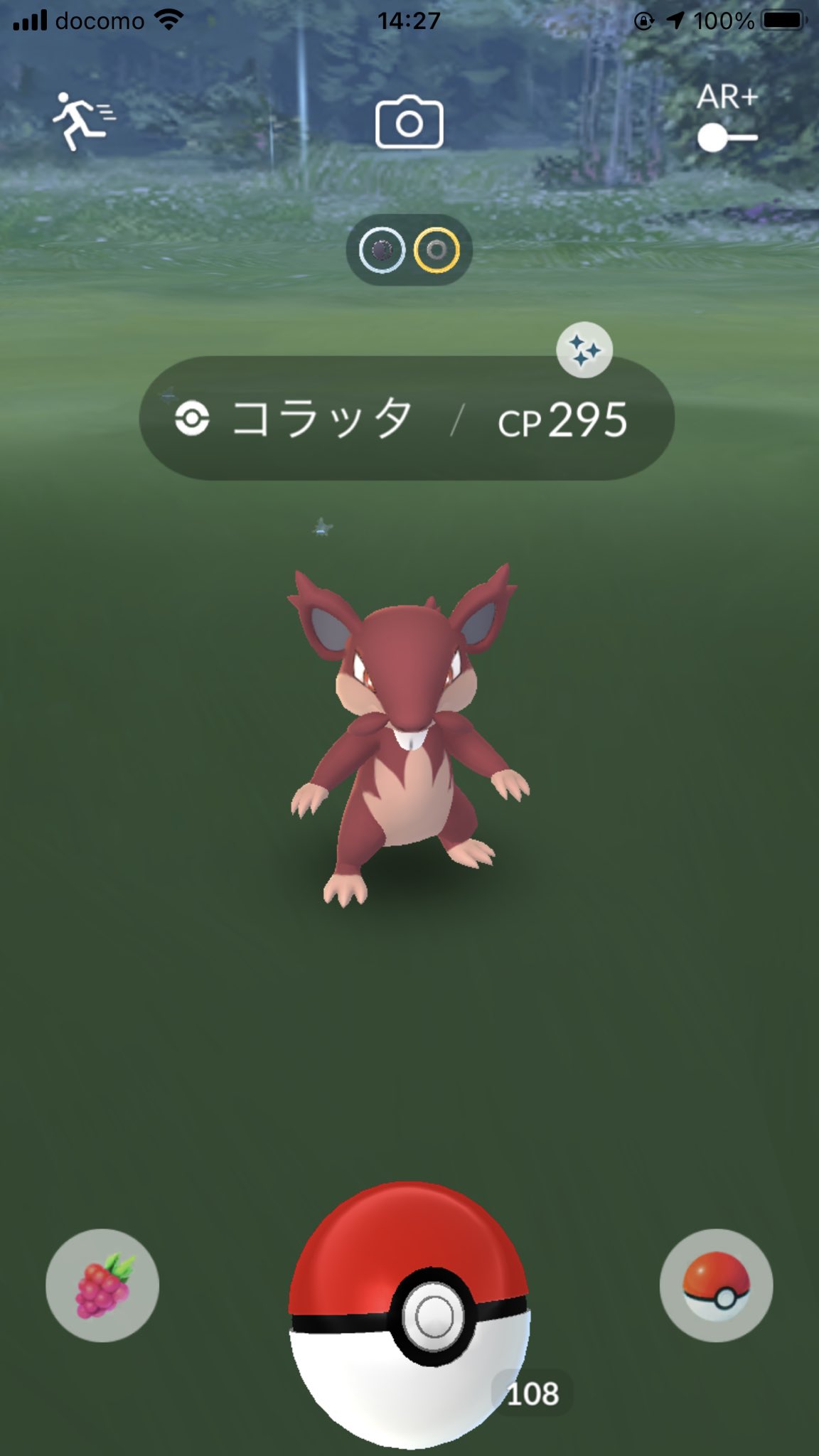 かげやん 色違いコラッタ アローラの姿 Get ポケモンgo ポケモンgo色違い T Co Zf6ljztwq9 Twitter